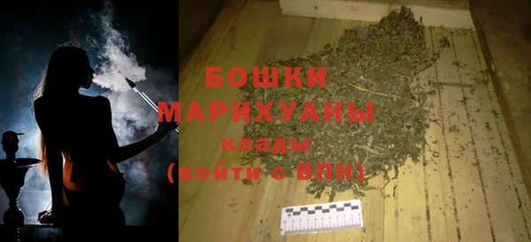 дживик Бородино