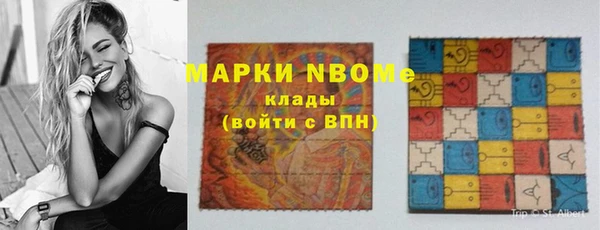 дживик Бородино