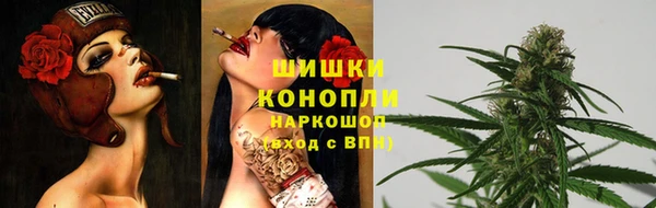 дживик Бородино