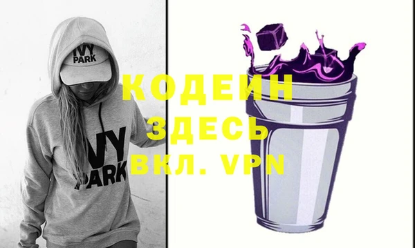 дживик Бородино