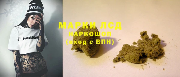 дживик Бородино