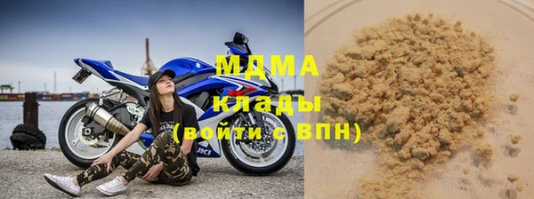 дживик Бородино
