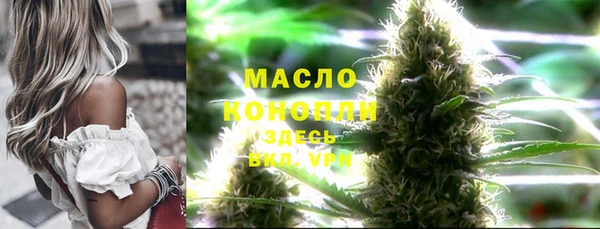 дживик Бородино