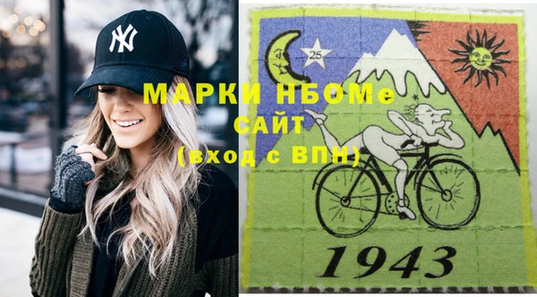 дживик Бородино