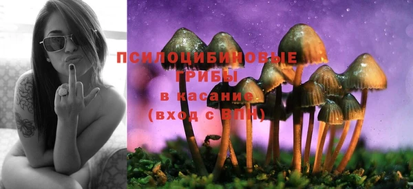 дживик Бородино